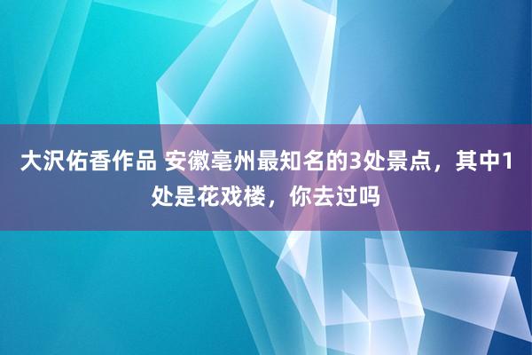 大沢佑香作品 安徽亳州最知名的3处景点，其中1处是花戏楼，你去过吗