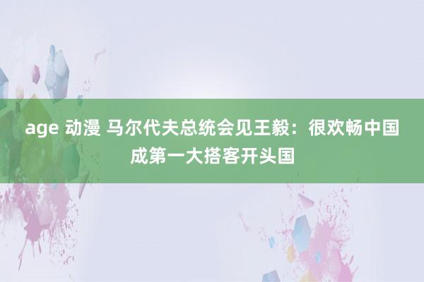 age 动漫 马尔代夫总统会见王毅：很欢畅中国成第一大搭客开头国